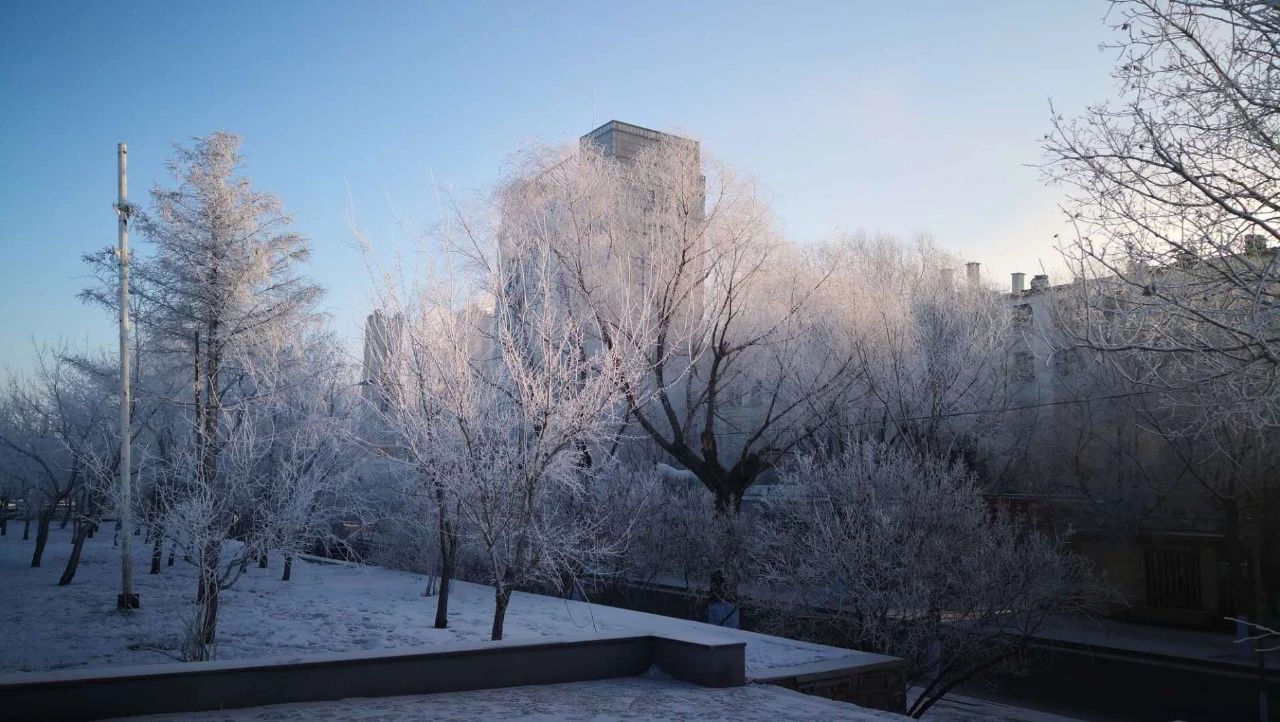 冰城迎极寒的天气,未来3天冰城最低温度