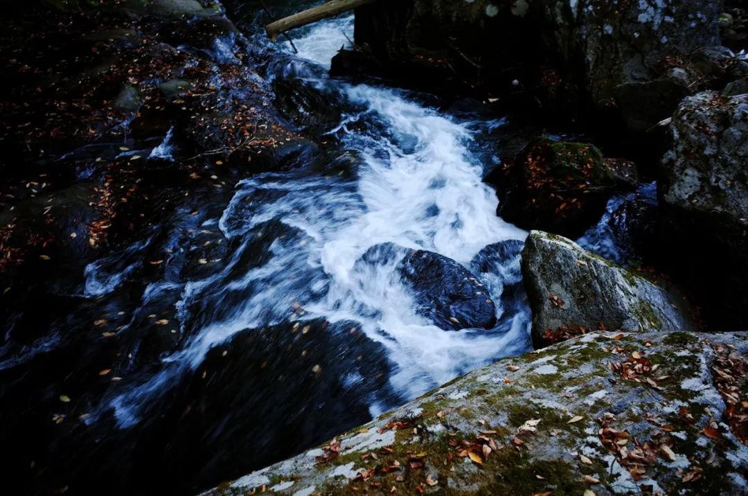 日本大分县旅游攻略,日本冬日3天攻略
