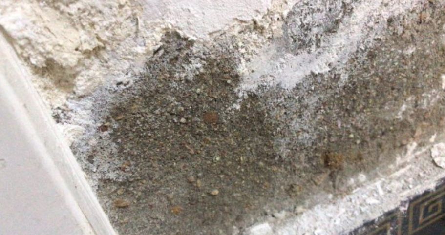 曹县小区墙皮脱落,邯郸一个小区墙皮大面积脱落