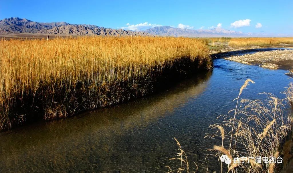 家底厚底气足，青海水景美如画！