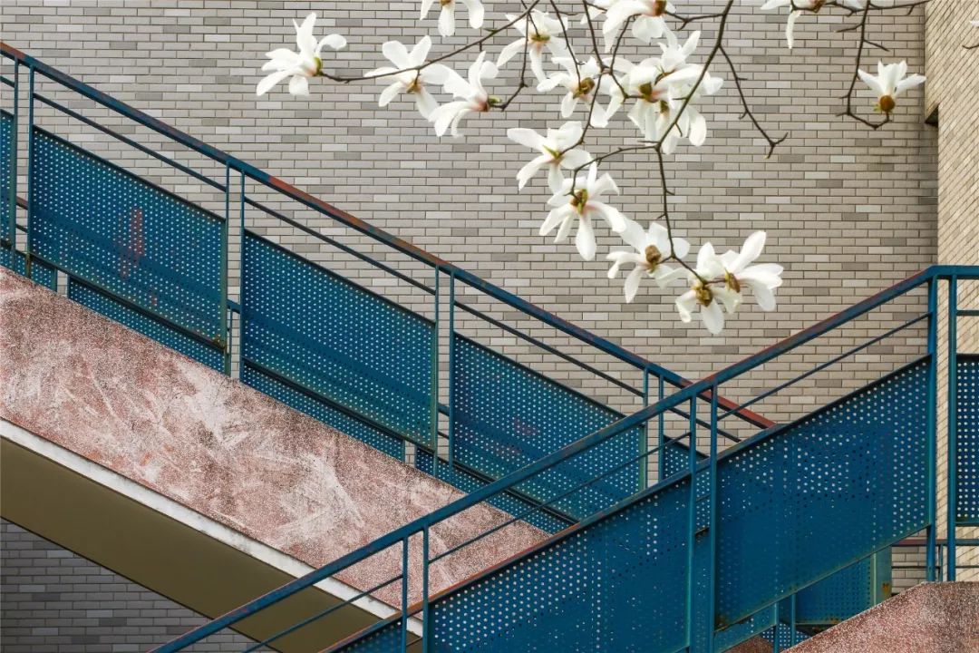 2018，刷爆河海人朋友圈的那些人和那些事儿~