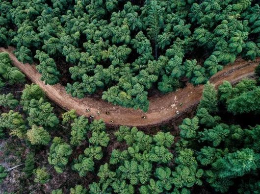 铭记体坛2014瞬间,2019世界体坛十大经典瞬间