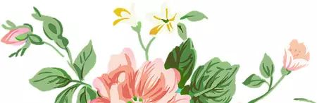 宁波2036年退休可以领多少退休金,宁波退休可以领多少钱