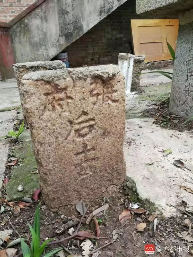 机智！中大老师坟头开课了！古墓附近还有惊人发现｜南都早餐