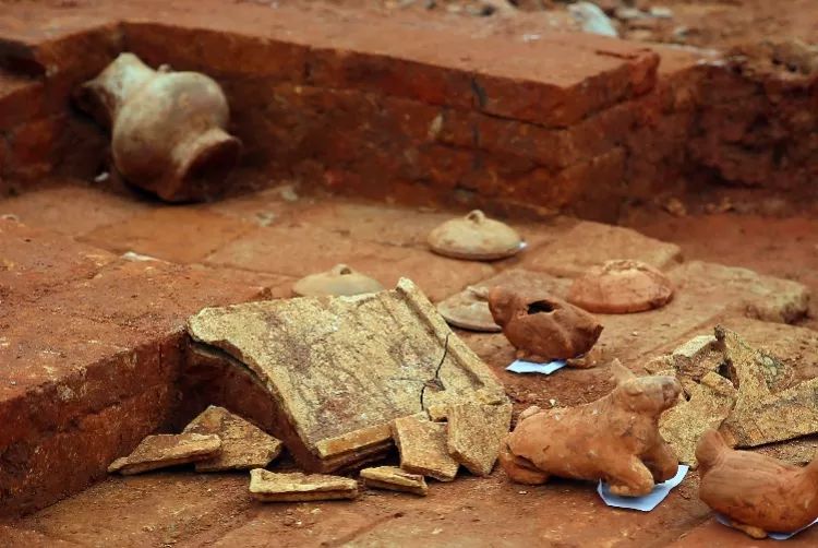 机智！中大老师坟头开课了！古墓附近还有惊人发现｜南都早餐