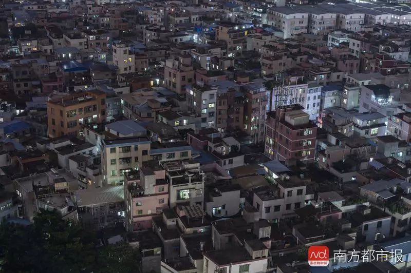 机智！中大老师坟头开课了！古墓附近还有惊人发现｜南都早餐