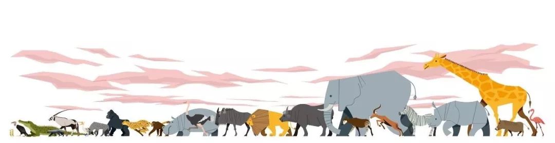 Hello！我是无法负负得正的负鼠