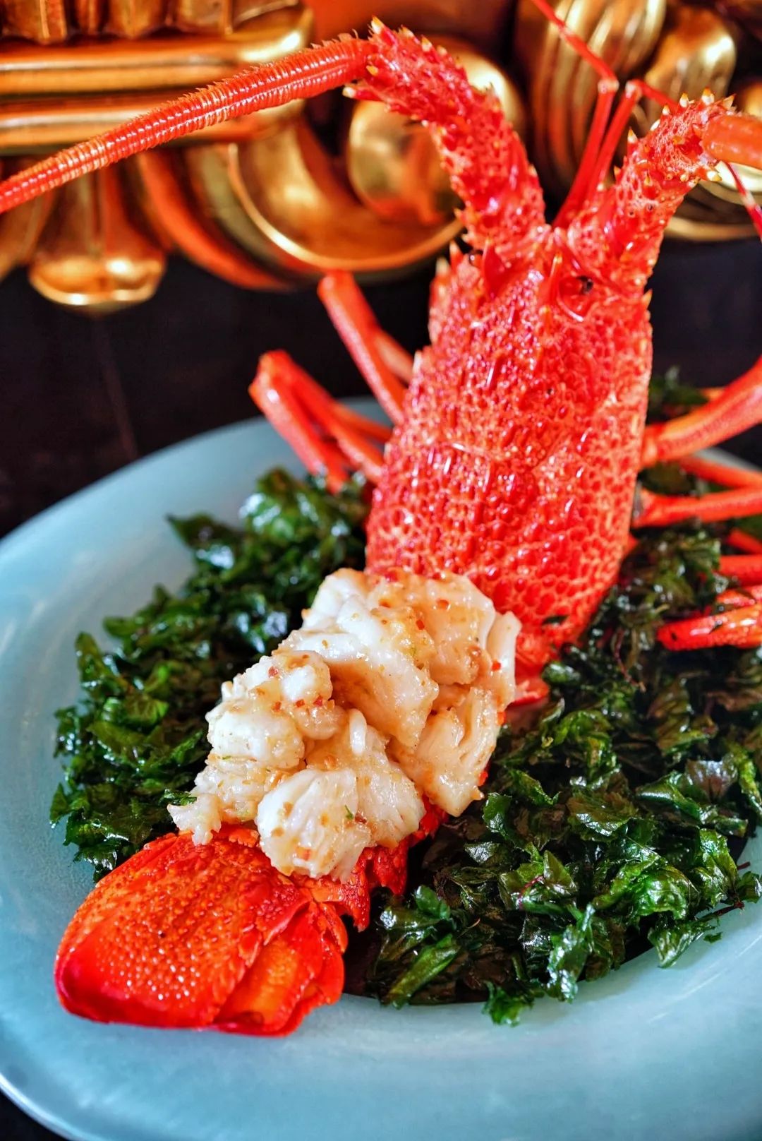 澳门米其林餐厅推荐,对自己好一点的晚餐