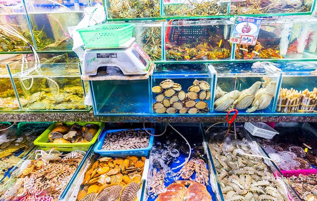 逃离阴冷的成都，到三亚享受这个冬天！