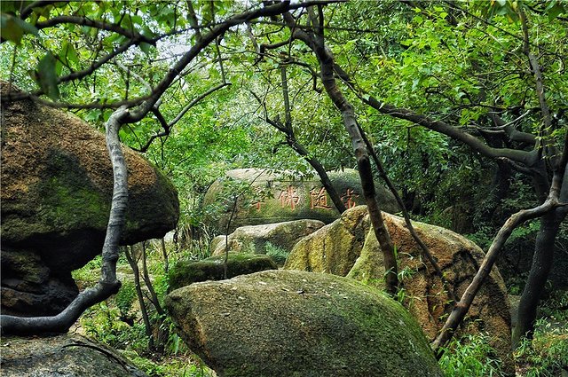 苏州灵岩山素面,苏州三元素面