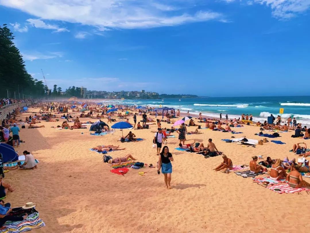 收藏这篇，其他号推荐的悉尼都可以删了