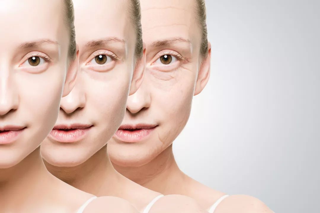 人体器官衰老时间表2021年9月,中老年人身体器官衰老