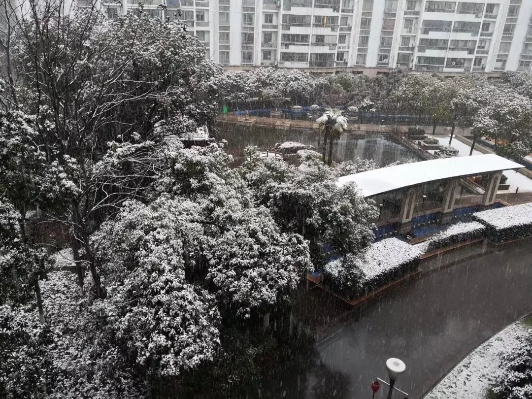 镇江，雪还在下……最新天气和交通情况来了！