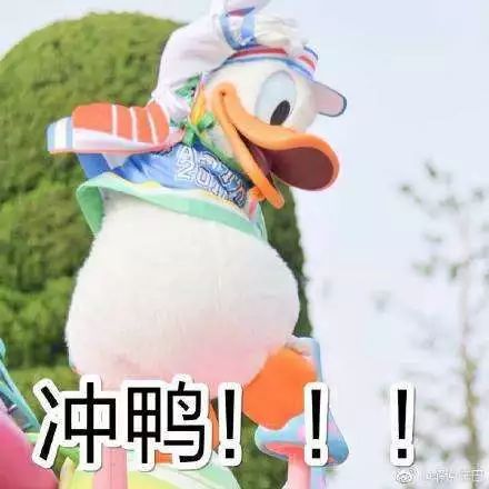 明星都在穿的不显腿粗的裤子,整个娱乐圈都在穿什么裙子