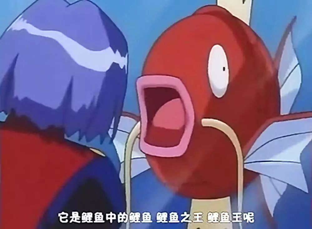 养一条自己喜欢的锦鲤,如何成为唯一的锦鲤