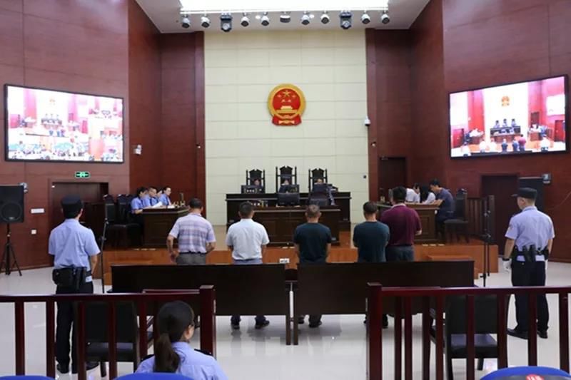 十大检察典型案例,检察典型案例汇展