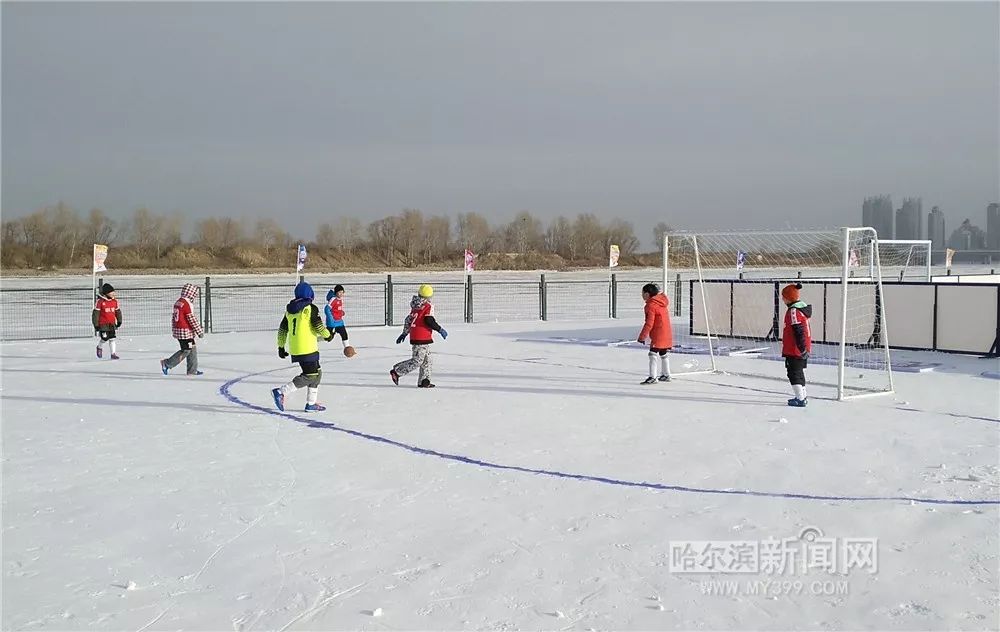 哈尔滨青少年足球锦标赛,哈尔滨市2024中小学生足球联赛