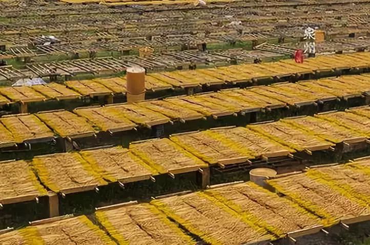 「陈飞教说闽南话」第125期：永春