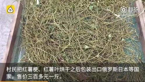 农村不可思议的东西,不可思议的新疆手工艺品