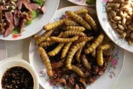 农村不可思议的东西,不可思议的新疆手工艺品