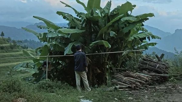 地球最后的夜晚毕赣,毕赣谈地球最后的夜晚