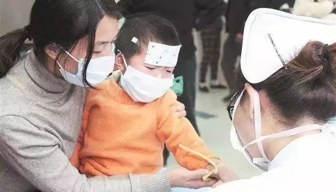 瑞士国宝大全,瑞士国宝