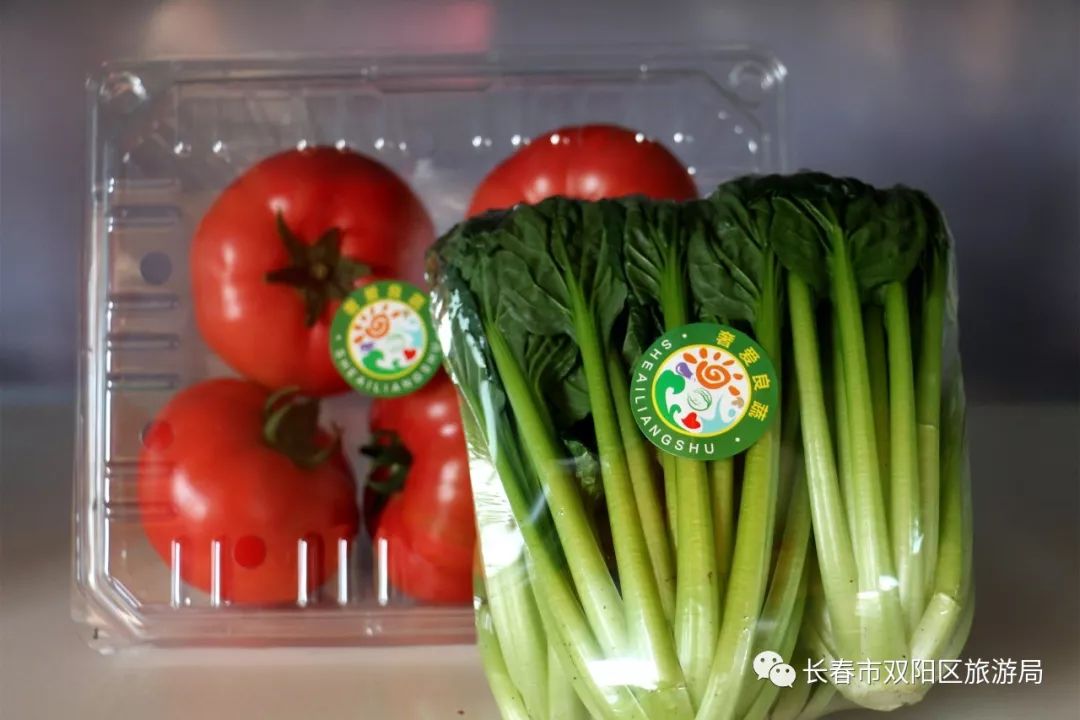 双阳市温泉,双阳温泉玩乐