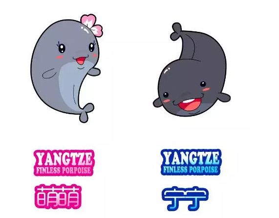 蹦跶自然课堂丨守护“微笑精灵”，我们在行动