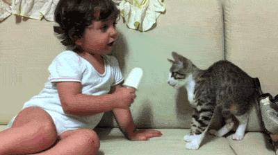 秋冬暖心好物品,秋冬季节必备的好物图集