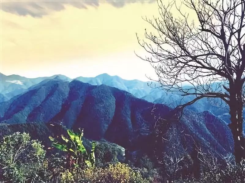 放下百万年薪回小县城,放下工作回到农村老家