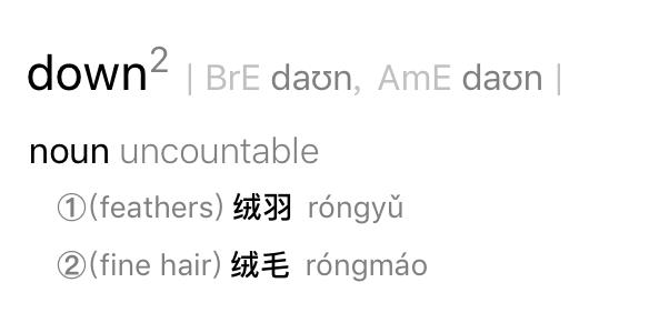 口语｜有一种艺人叫做赵丽颖，身穿羽绒服参加发布会，“羽绒服”英文怎么说？