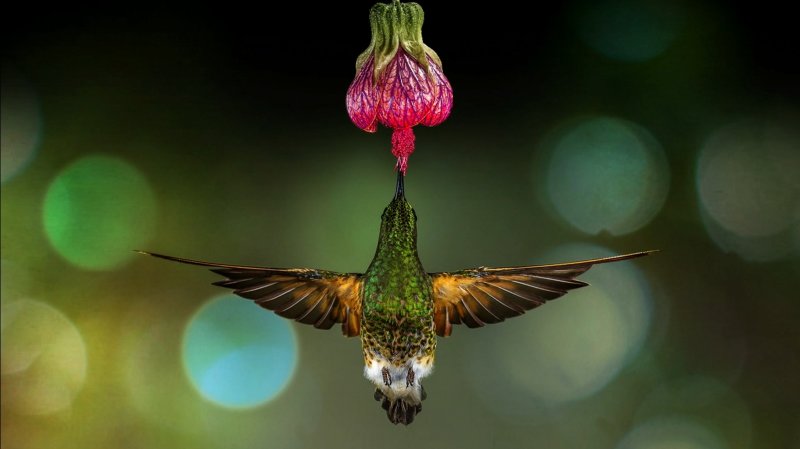 windows101809版本是什么,windows101809版本玩游戏特别卡