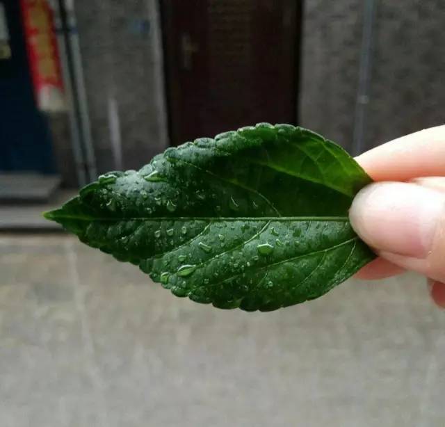 光影魔术手使用教程各工具的用途,光影魔术手怎么把模糊照片变清晰