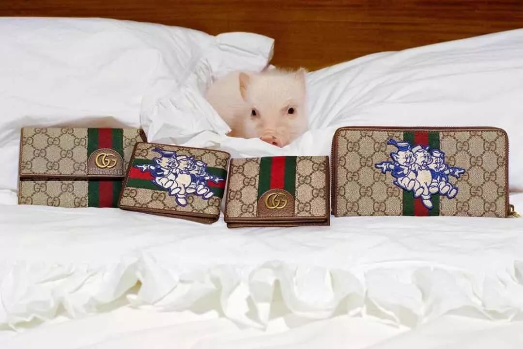 什么？全抢光了？所以杭州到底还能买到哪些猪年限定啊？！