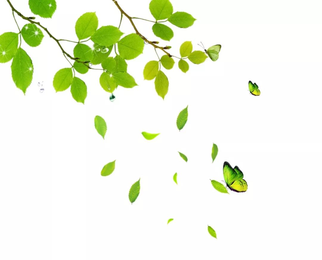 最美的西安公园图片,西安动物园旅游手绘示意图