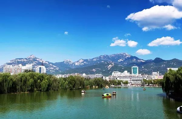 山东16地市平均工资、房价曝光！临沂竟然排在……