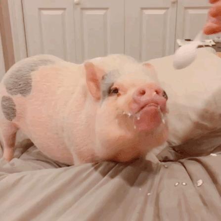 揭穿身边的骗局文章,揭穿新骗局视频