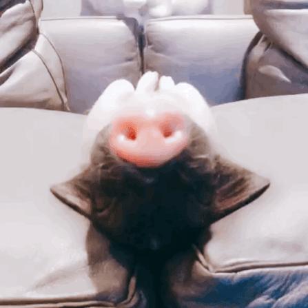 揭穿身边的骗局文章,揭穿新骗局视频