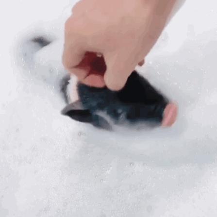 揭穿身边的骗局文章,揭穿新骗局视频