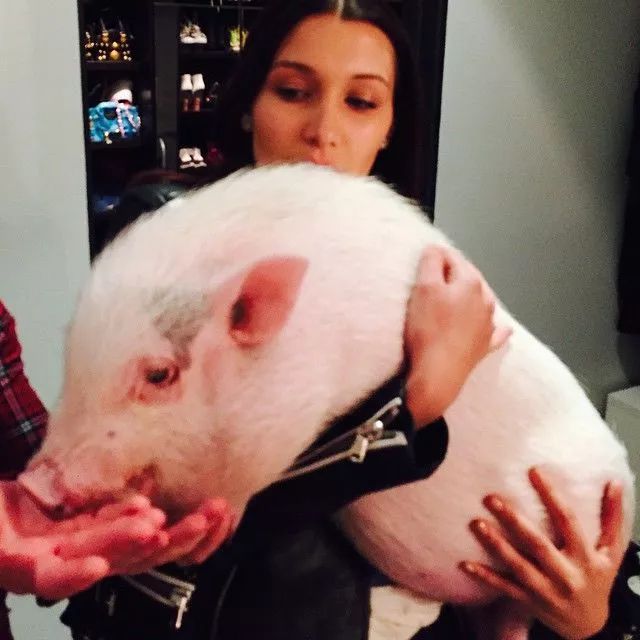 揭穿身边的骗局文章,揭穿新骗局视频