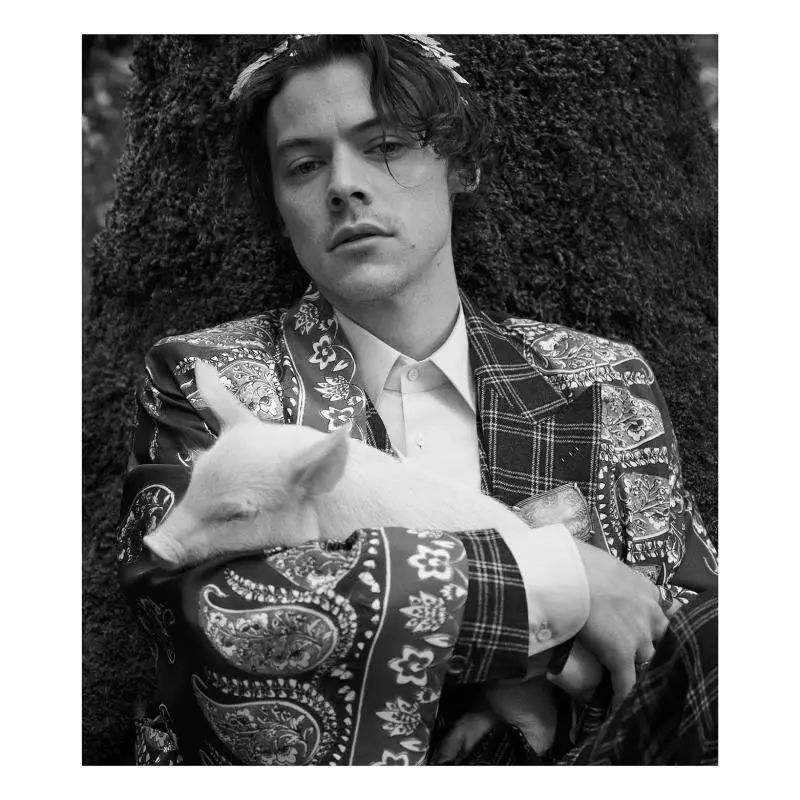 揭穿身边的骗局文章,揭穿新骗局视频