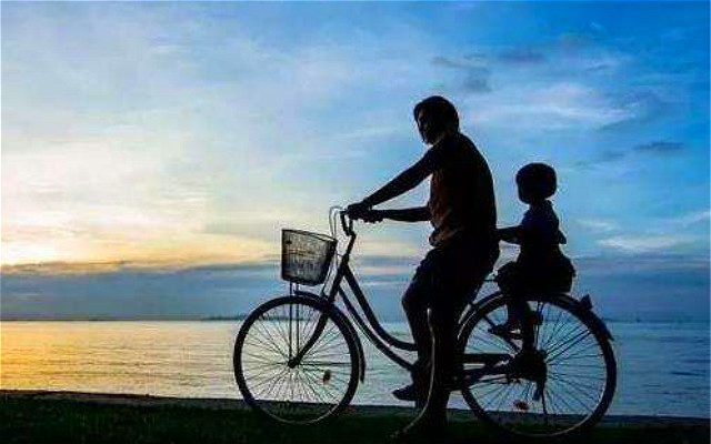 麦家老师经典语录,麦家作家经典语录