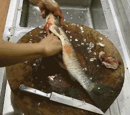 被它扎一下竟住院了！紧急提醒：严重可致死，苏州人准备年货要当心！