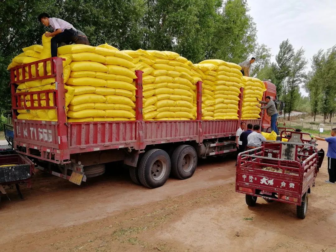 「乌审·民情日记」大牛地村第一书记朝格吉乐图