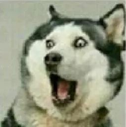 明天最高温度,明天的最高温度是多少度