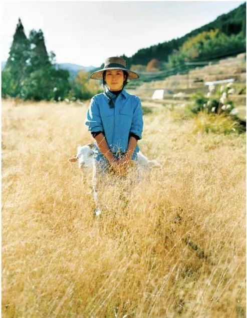 第四消费时代解读日本,日本第四消费时代