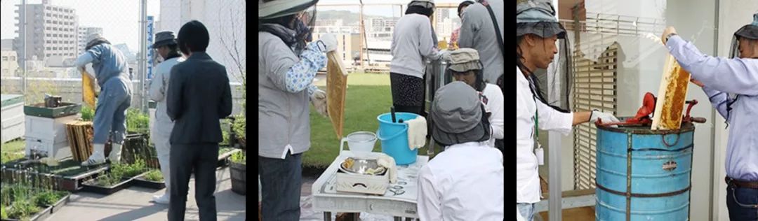 第四消费时代解读日本,日本第四消费时代