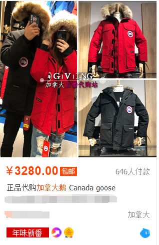 加拿大鹅网易考拉新闻,考拉加拿大鹅测试结果