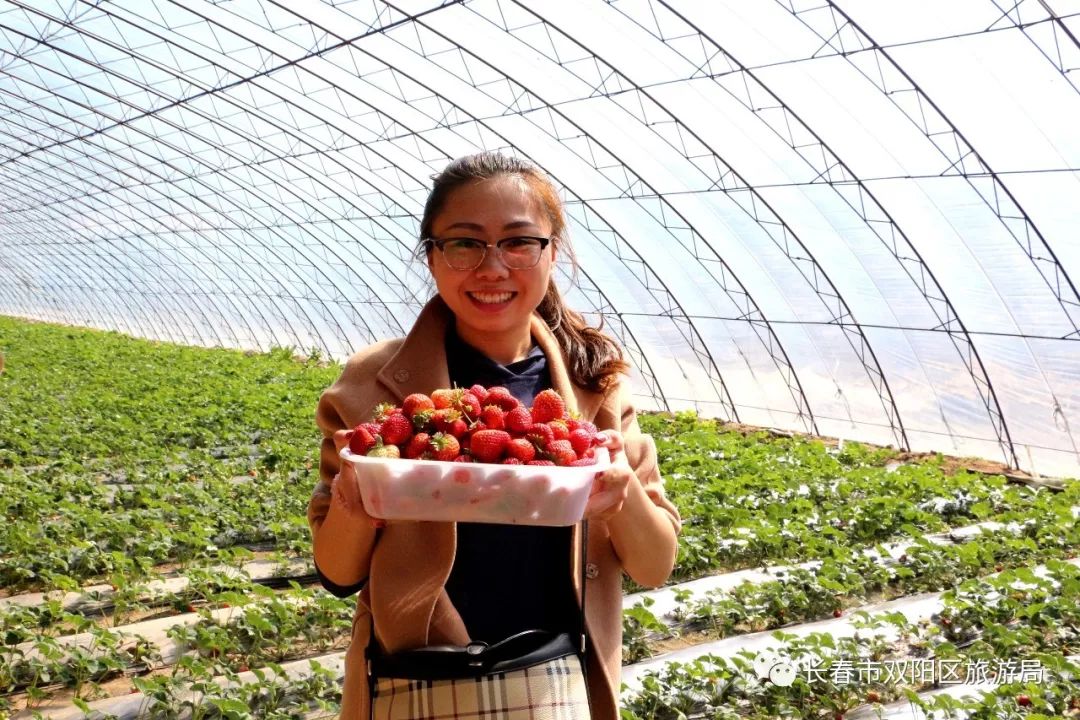 双阳市温泉,双阳温泉玩乐