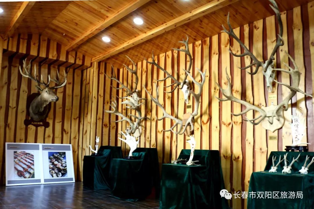 双阳市温泉,双阳温泉玩乐